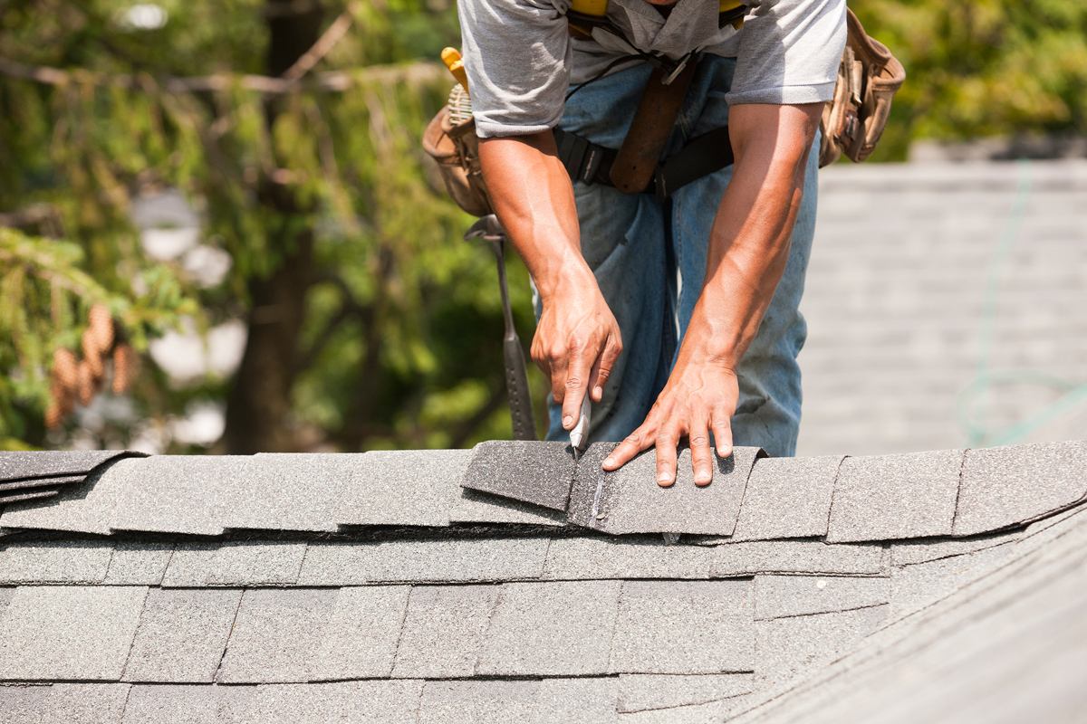 Contractor inspecting the granulated surface of asphalt roof shingles