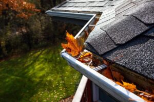 asphalt shingle granule loss Roof gutter inspection for debris below asphalt shingles